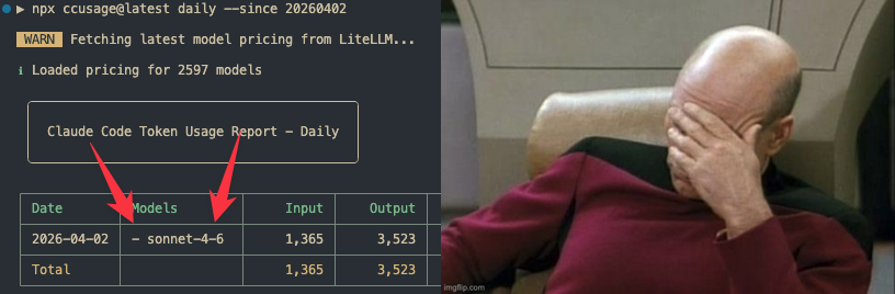 ccusage stats